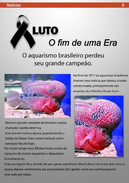 Revista Meus Peixes Fevereiro