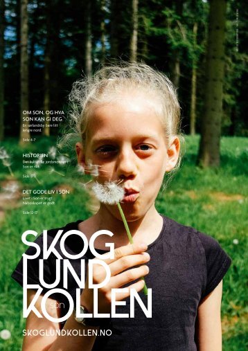 Skoglundkollen prospekt