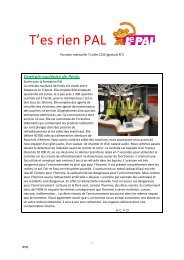 T' es rien pal 2 maquette