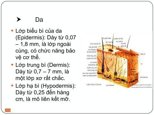 ĐỘC CHẤT THỰC PHẨM  PHẠM THỊ ĐAN PHƯỢNG