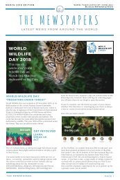 The Mewspapers - MARCH 2018