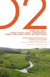 Twelve Mile Coulee and other major Calgary Riparian Maps prepared by O2 2012