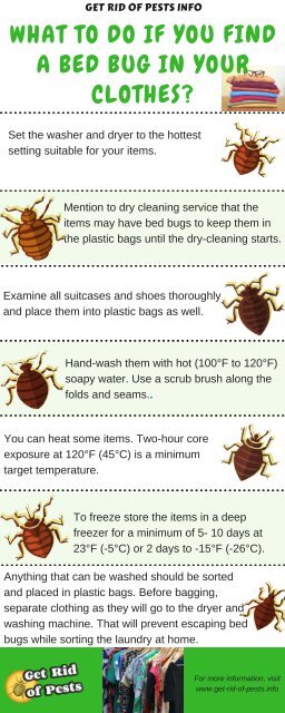 How Long Can Bed Bugs Live In Your Clothes - Hanaposy