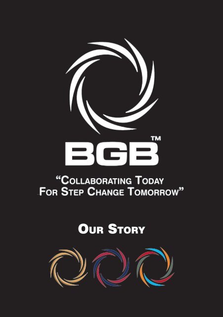 BGB Company  Proposal sample