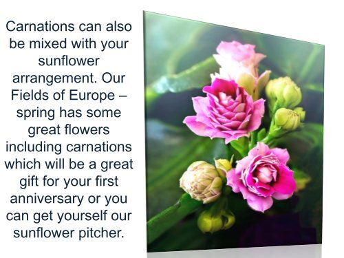 Best Flowers for your Anniversary