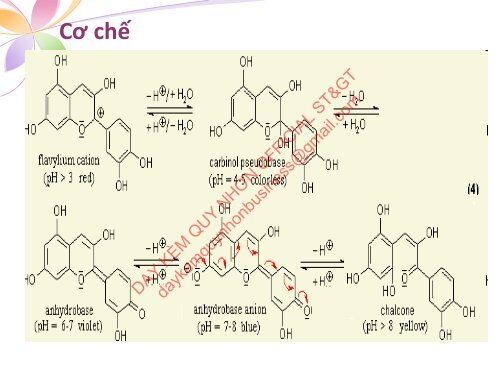 NGUỒN DƯỢC LIỆU CÓ GIÁ TRỊ CHỦ ĐỀ CHẤT MÀU ANTHOCYANIN