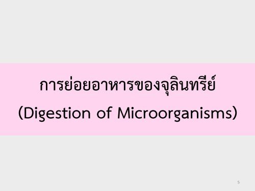 6Bio I Digestive and cellular respiration