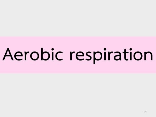 6Bio I Digestive and cellular respiration