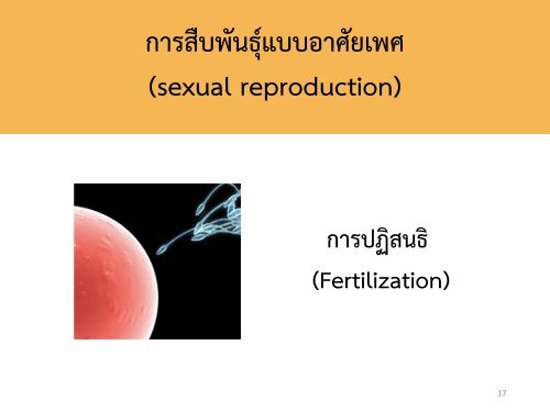 Reproductive system noon