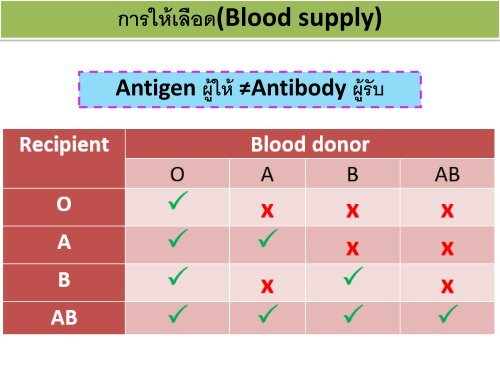 circulatory system pdf