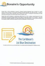 Strategic Plan Bonaire 2017-2027 Extract