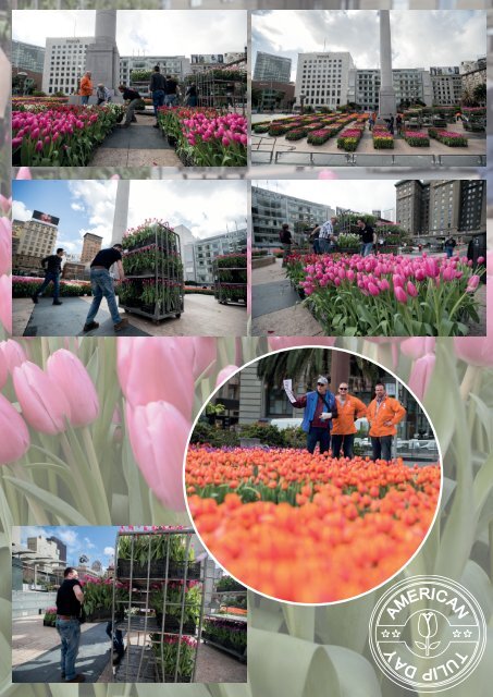 American Tulip Day 2018