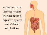 Digestive System