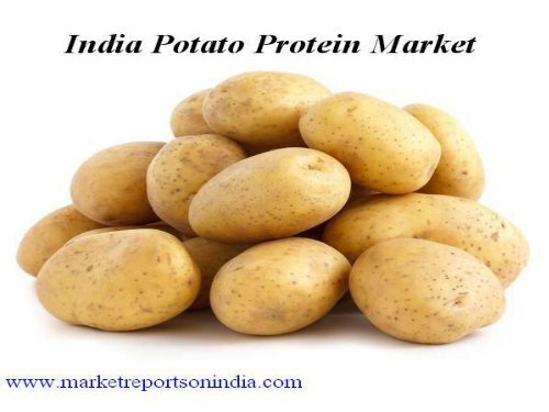 India Potato Protein Market Report1