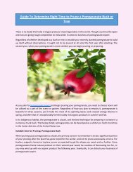 Guide To Determine Right Time to Prune a Pomegranate Bush or Tree