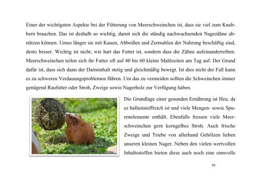 Wieso Personen, insbesondere Kinder und ältere Menschen, ein Haustier haben sollten und was diese Mensch-Tier-Beziehung auf die Entwicklung sowie Gesundheit dieser Personen bewirkt und wie diese den allgemeinen Gesundheitszustand beeinflussen kann