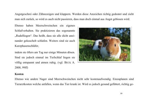 Wieso Personen, insbesondere Kinder und ältere Menschen, ein Haustier haben sollten und was diese Mensch-Tier-Beziehung auf die Entwicklung sowie Gesundheit dieser Personen bewirkt und wie diese den allgemeinen Gesundheitszustand beeinflussen kann