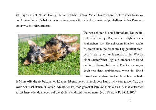 Wieso Personen, insbesondere Kinder und ältere Menschen, ein Haustier haben sollten und was diese Mensch-Tier-Beziehung auf die Entwicklung sowie Gesundheit dieser Personen bewirkt und wie diese den allgemeinen Gesundheitszustand beeinflussen kann