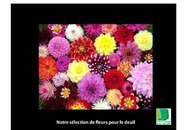 Catalogue fleurs Pompes Funèbres Pascal Leclerc Saint Nazaire/Saint Brévin