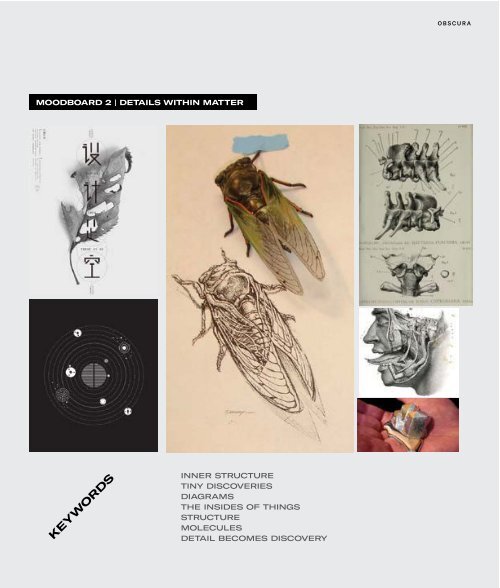 Obscura Process Book