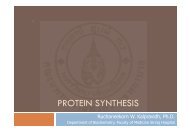 Protein_synthesis_2009 handout