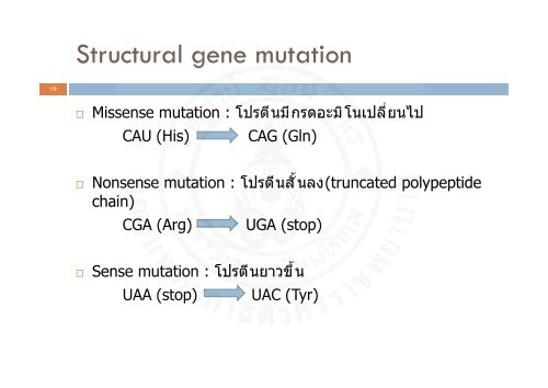 Protein_synthesis_2009 handout