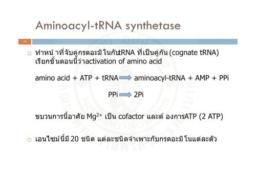 Protein_synthesis_2009 handout