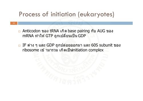 Protein_synthesis_2009 handout