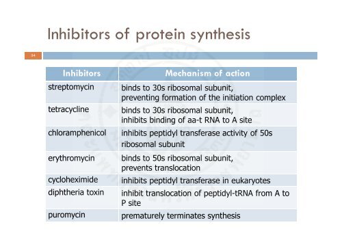 Protein_synthesis_2009 handout