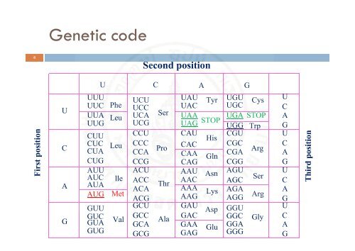 Protein_synthesis_2009 handout