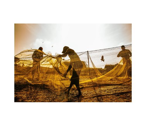 https://img.yumpu.com/59885101/1/500x640/sri-lanka-fishing-book-scott-m-salt-photography.jpg