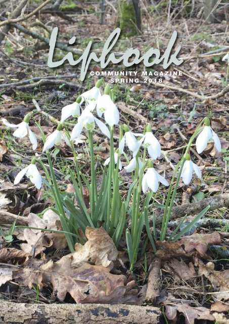 Liphook Community Magazine Spring 2018