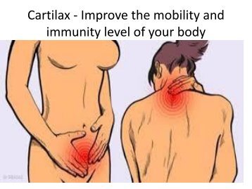 Cartilax - Improve the mobility and immunity level