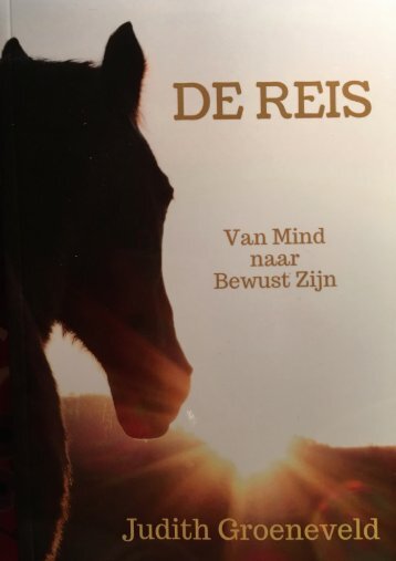 De Reis - van Mind naar Bewust Zijn