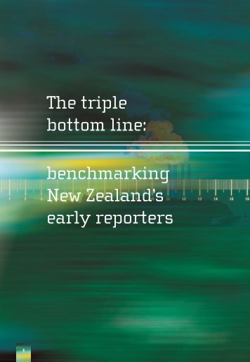 The triple bottom line: benchmarking New Zealand's early reporters