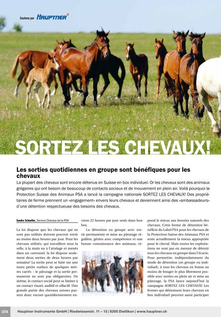 Cheval et Cavalier 2018