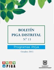 Boletin 13. Actividades PIGA