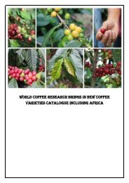 World Coffee Research Expands Coffee Varieties Catalogue to Include Africa