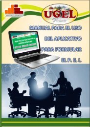 MANUAL DE USO DEL APLICATIVO DEL PEI