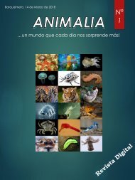 Animalia - Revista Digital