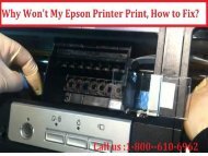 call 1-800-213-8289Why Won’t My Epson Printer Print, How to Fix