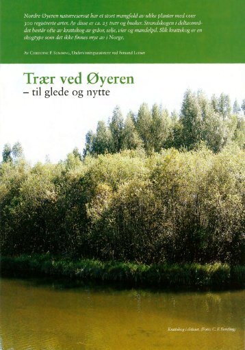 2017. nr. 9. Trær ved Øyeren