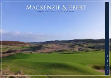 Mackenzie and Ebert 2015 Review