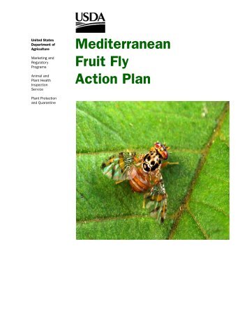 Mediterranean Fruit Fly Action Plan - aphis - US Department of ...