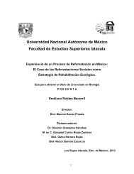 Experiencia de Reforestación en México, Reforestaciones Sociales, el caso de Naturalia A.C.