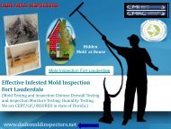 Effective Infested Mold Inspection 