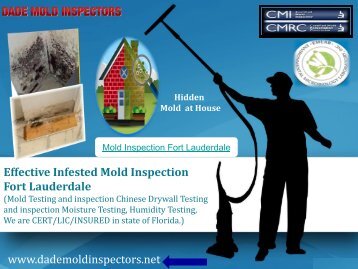 Effective Infested Mold Inspection 