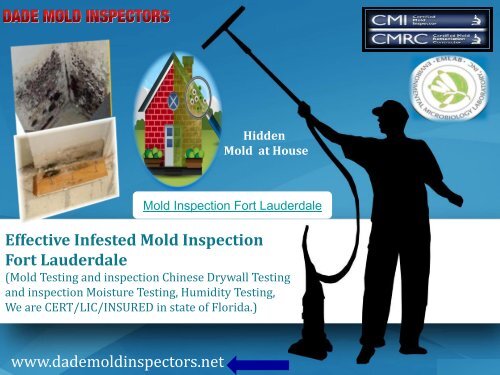 Effective Infested Mold Inspection 