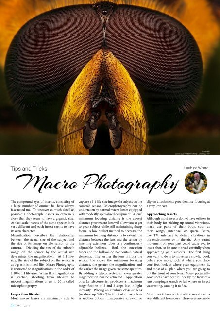 Chiiz Volume 11 : Macro Photography