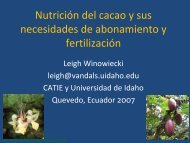 Nutricion_de_cacao_y_necesidades_fertilización